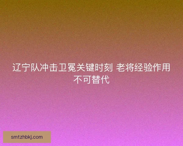 辽宁队冲击卫冕关键时刻 老将经验作用不可替代