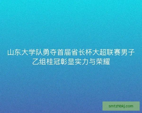 山东大学队勇夺首届省长杯大超联赛男子乙组桂冠彰显实力与荣耀