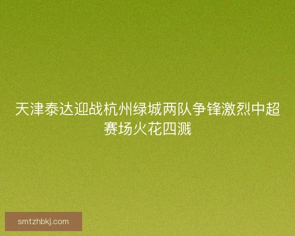 天津泰达迎战杭州绿城两队争锋激烈中超赛场火花四溅
